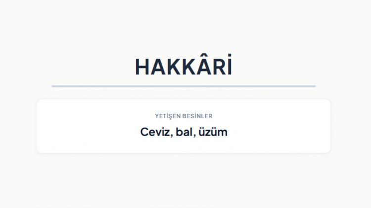 <p><strong>HAKKARİ&nbsp;</strong></p>
