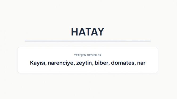 <p><strong>HATAY&nbsp;</strong></p>
