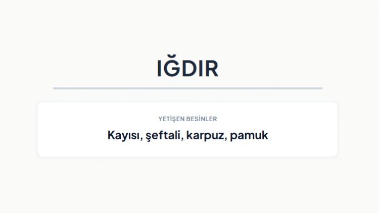 <p><strong>IĞDIR&nbsp;</strong></p>
