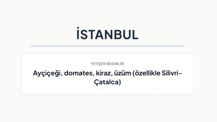 <p><strong>İSTANBUL&nbsp;</strong></p>

