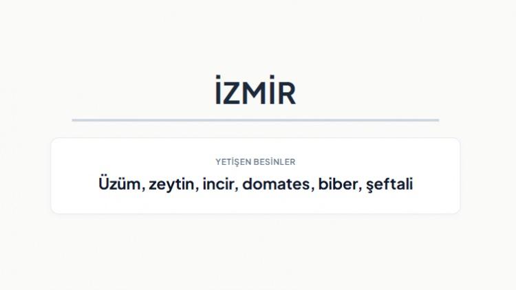 <p><strong>İZMİR&nbsp;</strong></p>
