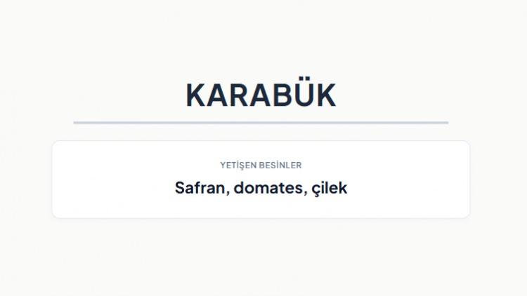 <p><strong>KARAB&Uuml;K&nbsp;</strong></p>

