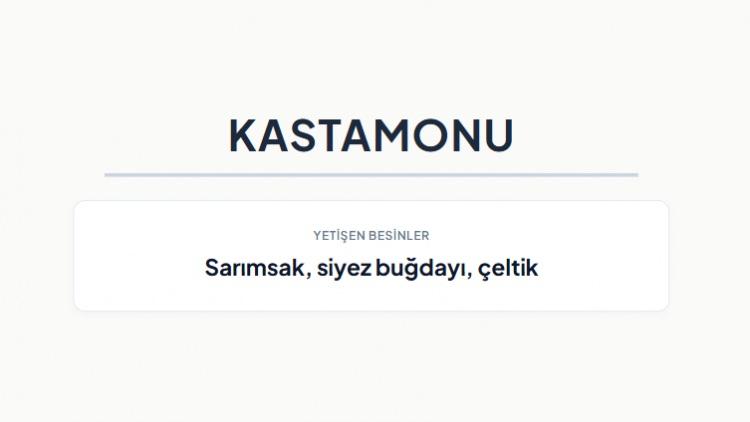 <p><strong>KASTAMONU&nbsp;</strong></p>
