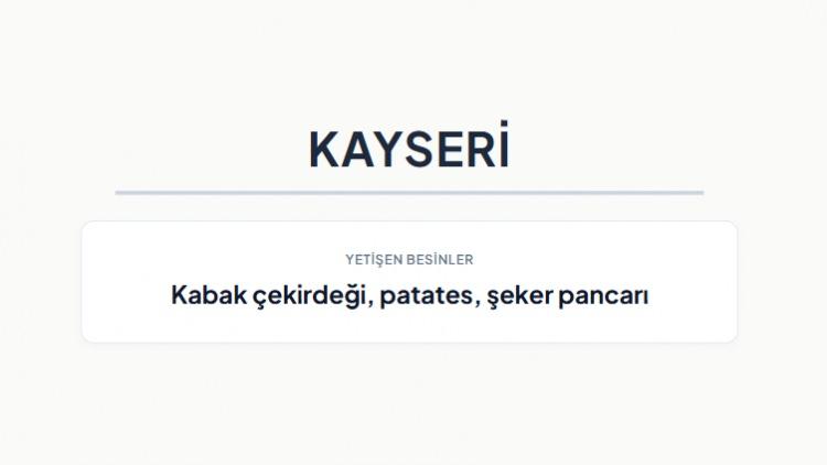 <p><strong>KAYSERİ&nbsp;</strong></p>
