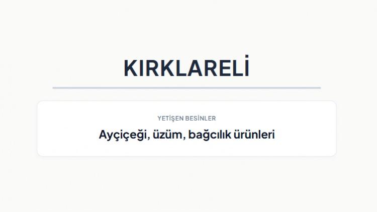 <p><strong>KIRKLARELİ&nbsp;</strong></p>
