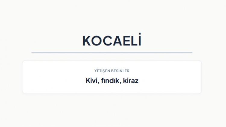 <p><strong>KOCAELİ&nbsp;</strong></p>
