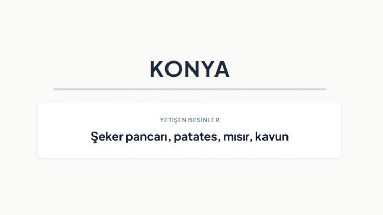 <p><strong>KONYA&nbsp;</strong></p>
