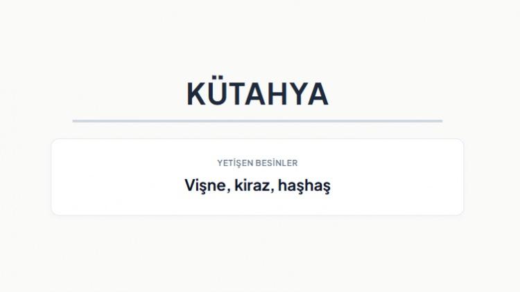 <p><strong>K&Uuml;TAHYA&nbsp;</strong></p>
