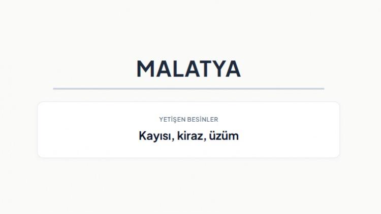 <p><strong>MALATYA&nbsp;</strong></p>
