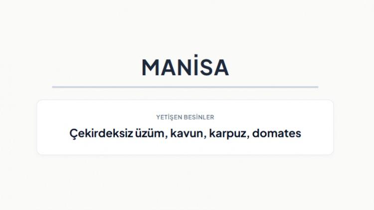 <p><strong>MANİSA&nbsp;</strong></p>
