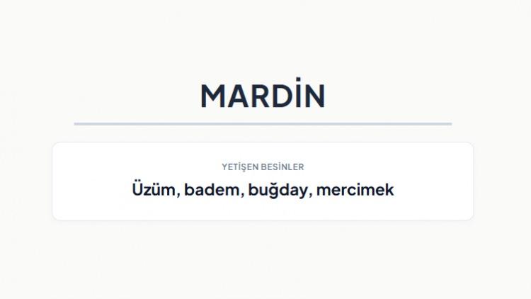 <p><strong>MARDİN&nbsp;</strong></p>
