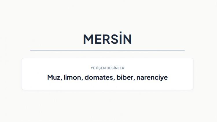 <p><strong>MERSİN&nbsp;</strong></p>
