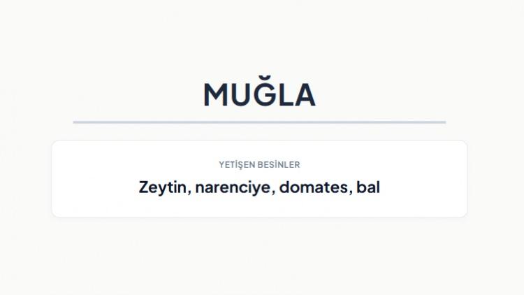 <p><strong>MUĞLA&nbsp;</strong></p>
