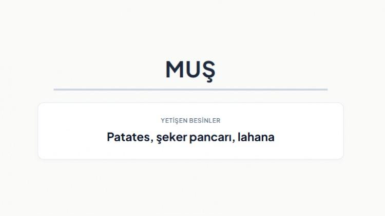 <p><strong>MUŞ&nbsp;</strong></p>
