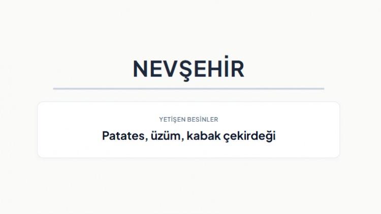 <p><strong>NEVŞEHİR&nbsp;</strong></p>
