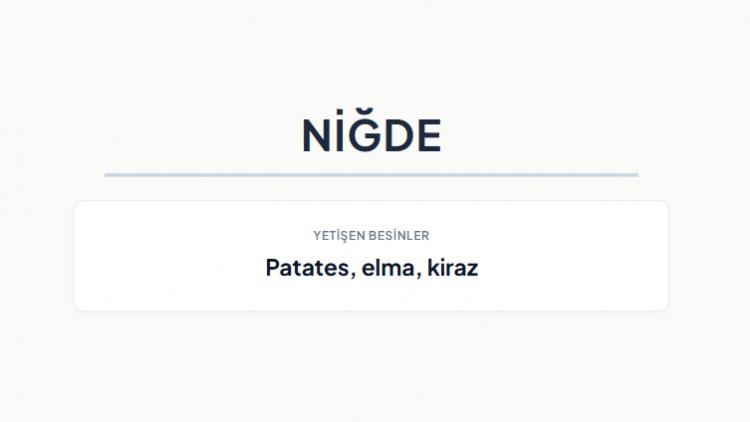 <p><strong>NİĞDE&nbsp;</strong></p>
