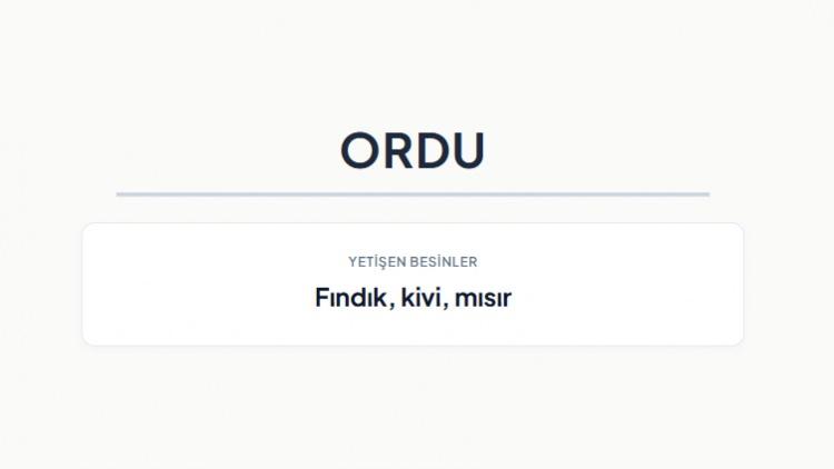 <p><strong>ORDU&nbsp;</strong></p>
