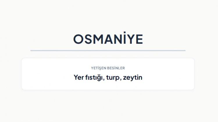 <p><strong>OSMANİYE&nbsp;</strong></p>
