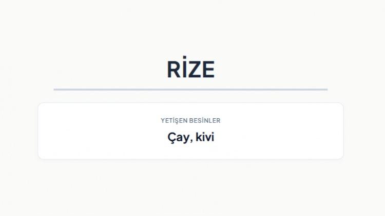 <p><strong>RİZE&nbsp;</strong></p>
