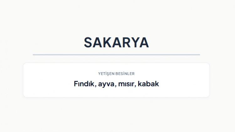 <p><strong>SAKARYA&nbsp;</strong></p>
