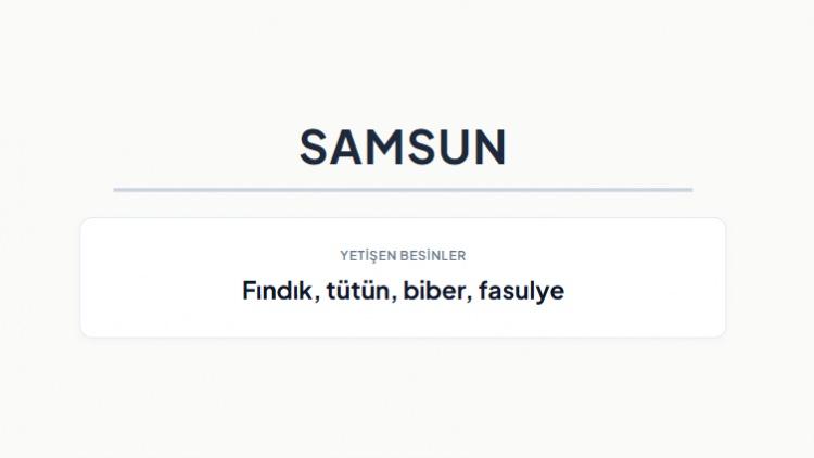 <p><strong>SAMSUN&nbsp;</strong></p>
