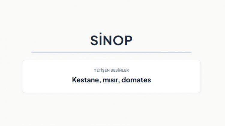 <p><strong>SİNOP&nbsp;</strong></p>
