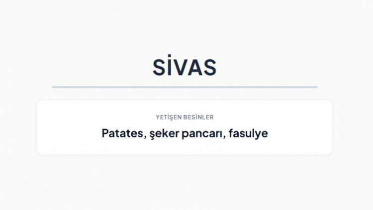 <p><strong>SİVAS&nbsp;</strong></p>
