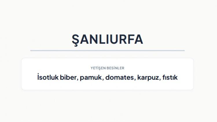 <p><strong>ŞANLIURFA&nbsp;</strong></p>
