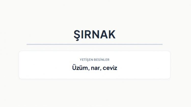 <p><strong>ŞIRNAK&nbsp;</strong></p>

