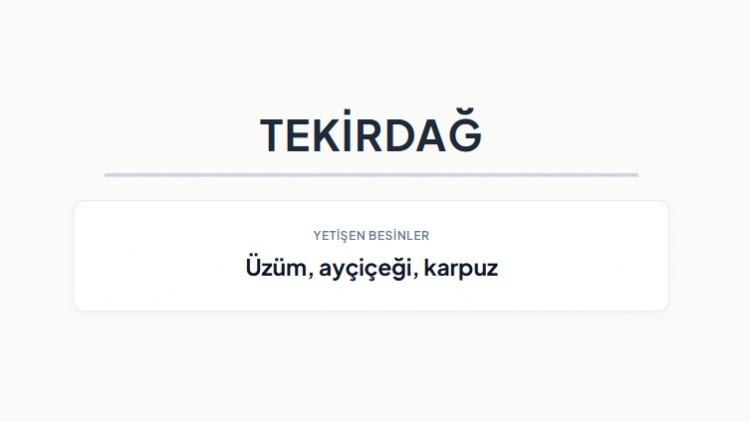 <p><strong>TEKİRDAĞ&nbsp;</strong></p>
