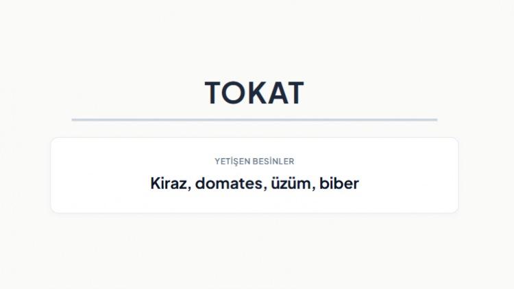 <p><strong>TOKAT&nbsp;</strong></p>
