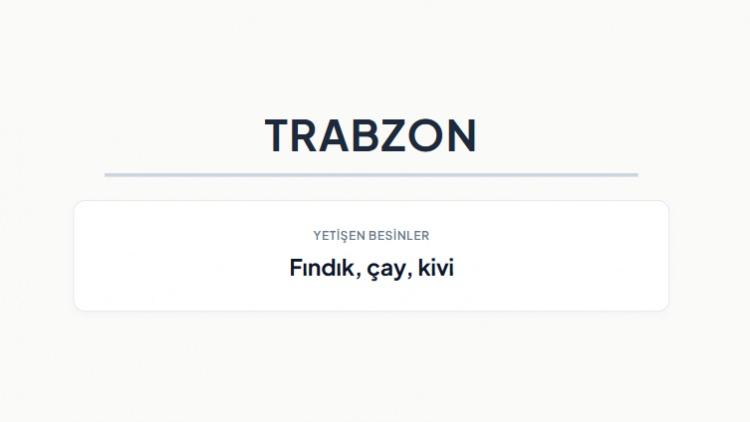 <p><strong>TRABZON&nbsp;</strong></p>
