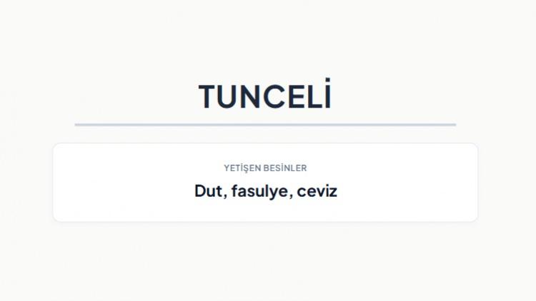 <p><strong>TUNCELİ&nbsp;</strong></p>
