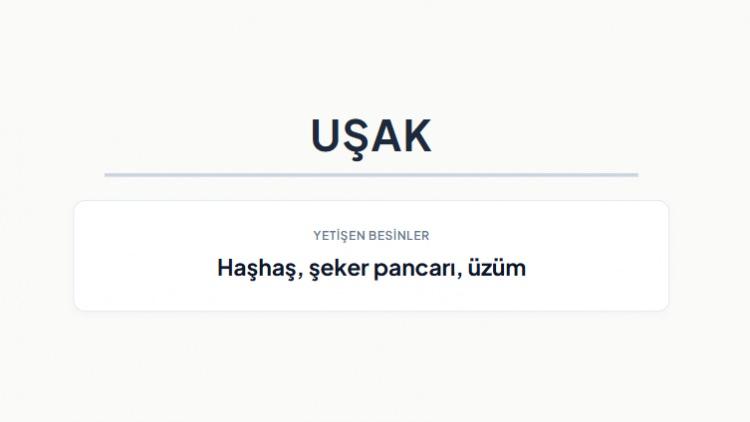 <p><strong>UŞAK&nbsp;</strong></p>
