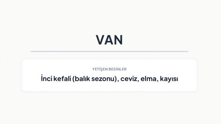<p><strong>VAN&nbsp;</strong></p>
