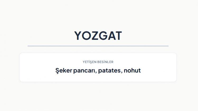 <p><strong>YOZGAT&nbsp;</strong></p>
