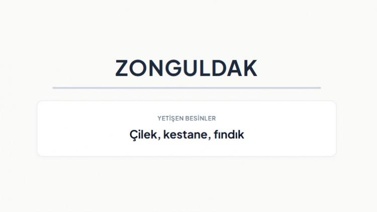 <p><strong>ZONGULDAK&nbsp;</strong></p>
