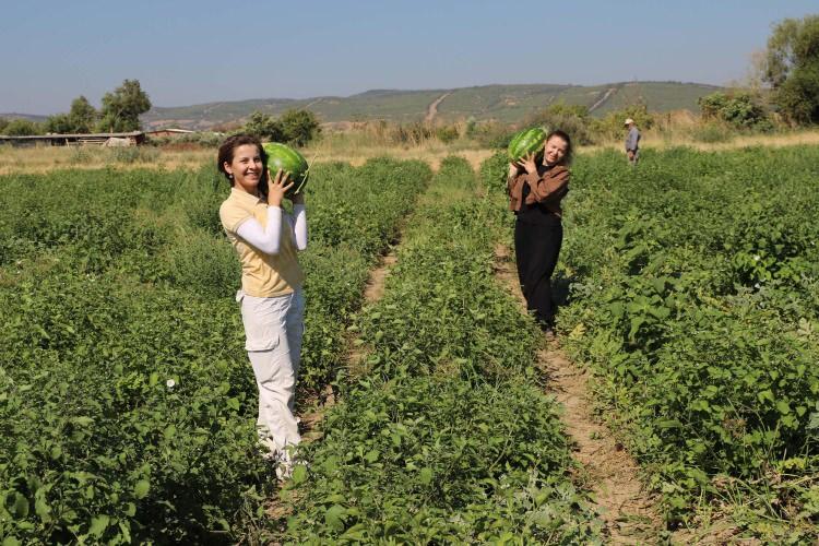 <p>Ayşe &Ouml;lmez Adalı, Siyaset Bilimi ve Kamu Y&ouml;netimi, kardeşi &Ouml;zge &Ouml;lmez de Uluslararası Ticaret ve Lojistik B&ouml;l&uuml;m&uuml;'nden mezun olduktan sonra eğitim aldıkları alan yerine tarlada &ccedil;alışmayı tercih etti.</p>

<p>&nbsp;</p>

<p>İki kız kardeş, hem ata mesleğini yapıyor hem de kadınlara ve gen&ccedil;lere rol model olmayı başarıyor.</p>
