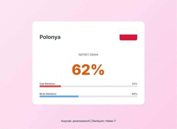 <p><span style="color:#B22222"><strong>12)&nbsp; POLONYA</strong></span></p>
