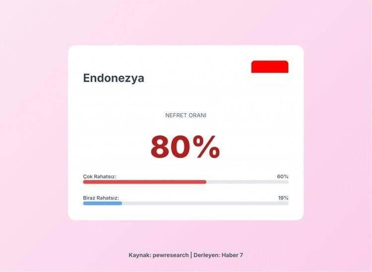 <p><span style="color:#B22222"><strong>2)&nbsp; ENDONEZYA</strong></span></p>
