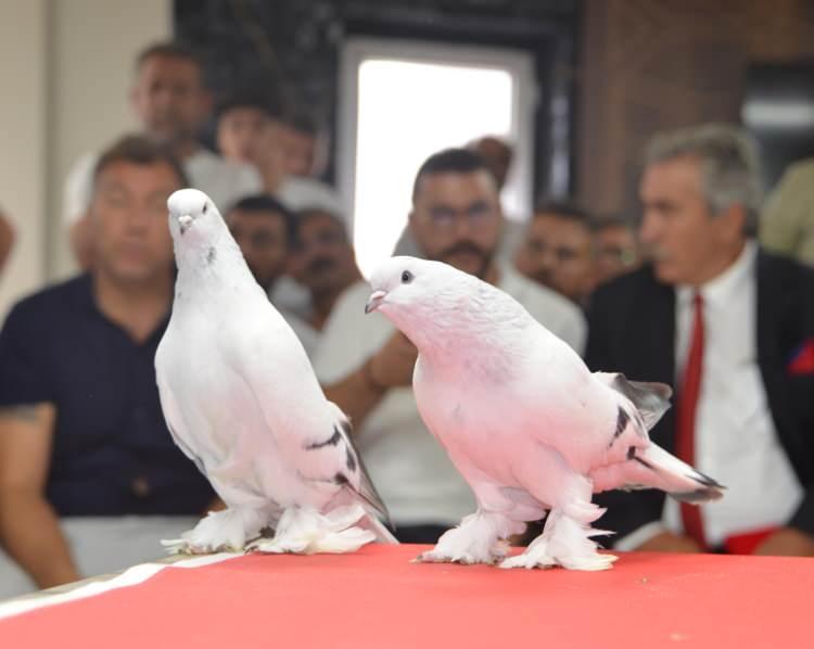 <p>Renkleri, fiziki yapıları ve pa&ccedil;aları gibi bir&ccedil;ok &ouml;zelliğine g&ouml;re tanıtılan 200 kuş, 5 kategoride meraklılarının karşısına &ccedil;ıkarıldı.</p>

<p>&nbsp;</p>
