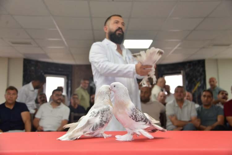 <p>Şebap G&uuml;vercin Federasyonu Başkanı Necmettin Budak, gazetecilere, federasyon olarak T&uuml;rkiye genelinde sergiler d&uuml;zenlediklerini s&ouml;yledi.</p>

<p>&nbsp;</p>
