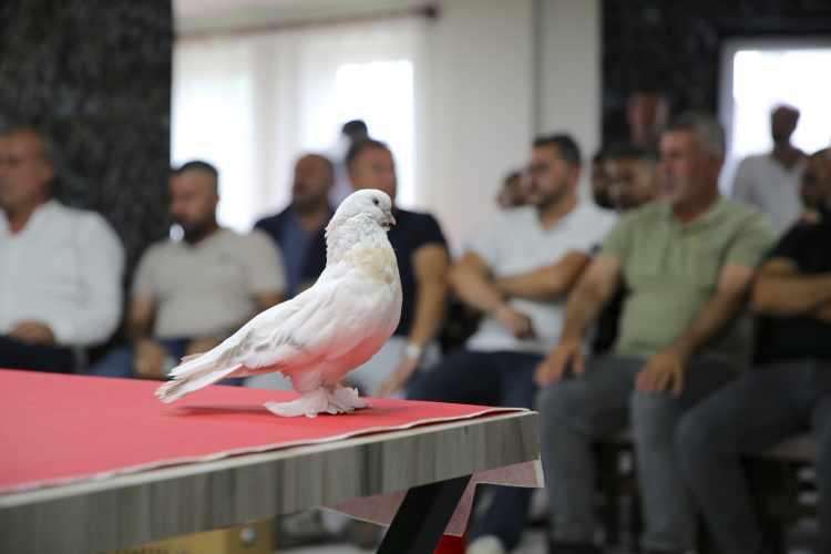 <p>Budak, T&uuml;rkiye ve Avrupa genelinde yılda bir festival yaptıklarını hatırlatarak, şunları kaydetti:</p>

<p>&nbsp;</p>
