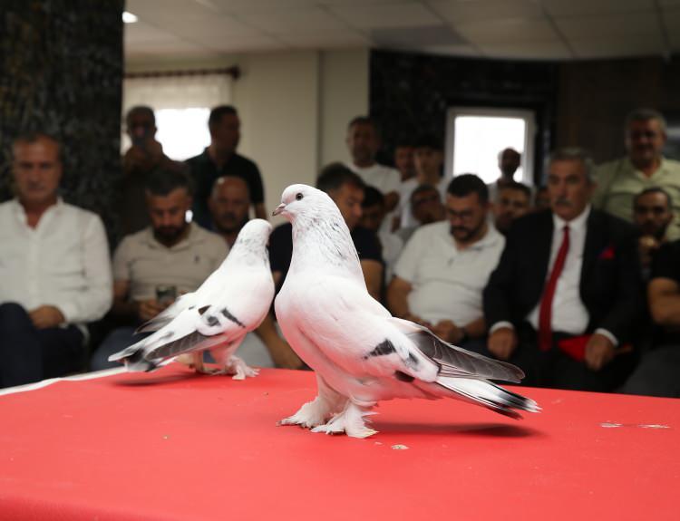 <p>Federasyon olarak 30'dan fazla ilde faaliyet g&ouml;steren derneklerin olduğunu belirten Budak, "Şebap kuşu besliyoruz. &Ccedil;ok titizlikle beslediğimiz kuşlarımıza her hafta periyodik bakımlarını yapıyoruz. Bu ırk, 5 ırktan oluşan bir ırk. Bu ırkımız şu anda d&uuml;nyaya yayılmak &uuml;zere. Şu anda Arabistan da bize katıldı." ifadelerini kullandı.</p>

<p>&nbsp;</p>
