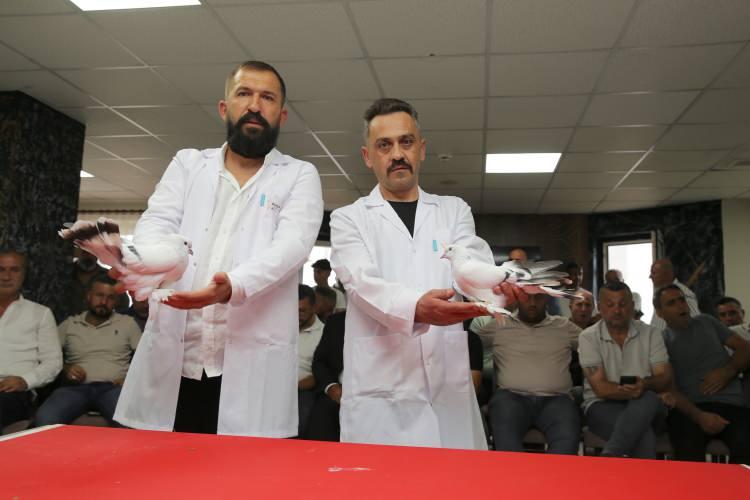 <p>Almanya'dan sergi i&ccedil;in gelen İsa Kaya da g&uuml;zel bir sergi olduğunu belirterek, "Bu g&uuml;vercinlerden ben de besliyorum. Yaklaşık 25 yıldır bu şebap kuşuna sevgimiz var.&nbsp;</p>
