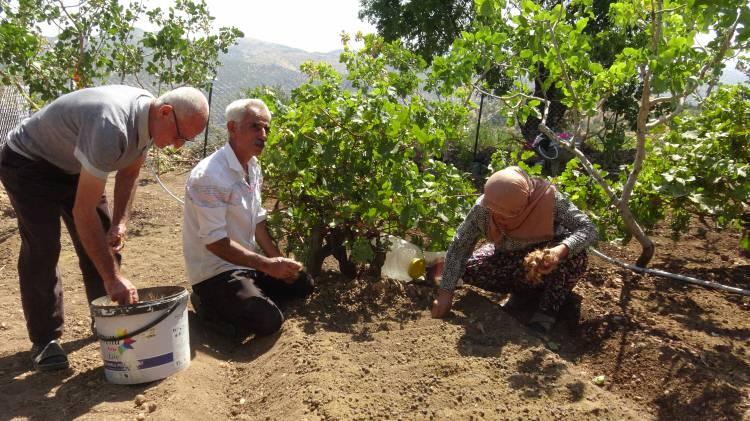 <p>İl&ccedil;e Tarım ve Orman M&uuml;d&uuml;rl&uuml;ğ&uuml; yetkilileri, alternatif &uuml;r&uuml;n yetiştiriciliği yapan &uuml;reticilere teknik ve birikim anlamında ellerinden gelen her t&uuml;rl&uuml; desteği sağlamaya devam edeceklerini belirtti.</p>
