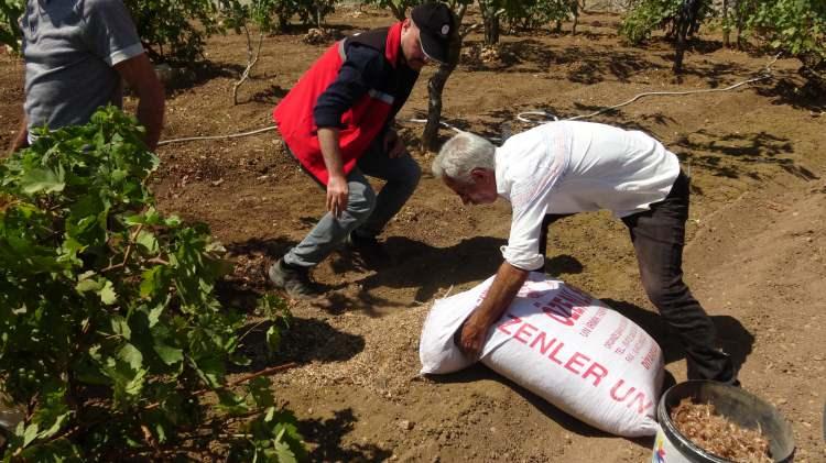 <p><strong><em>Getirisi y&uuml;ksek, iş&ccedil;iliği de &ccedil;ok azdır. Bakanımızın da belirttiği gibi 'ekmedik bir karış toprak kalmasın' d&uuml;sturuyla burada hem fıstıklarımızın hem de bağlarımızın arasında safran ekimini ger&ccedil;ekleştirerek birim alandan en y&uuml;ksek verimi almayı hedefliyoruz."</em></strong></p>
