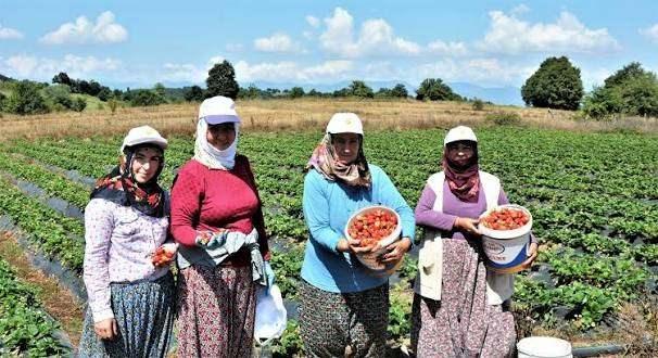 <p><strong>2026 yılı &ccedil;alışma programı kapsamında 3,3 milyar liralık b&uuml;t&ccedil;eyle 11 bin 325 orman k&ouml;yl&uuml;s&uuml; hanesi ve Tarımsal Kalkınma Kooperatifinin desteklenmesi de planlanıyor.&nbsp;</strong></p>
