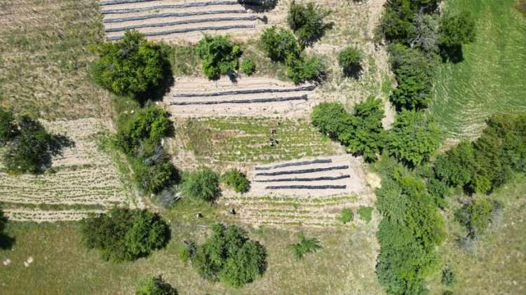 <p>S&uuml;t sığırcılığı, s&uuml;t koyunculuğu, besi hayvancılığı, fenni arıcılık ve tıbbi aromatik bitki &uuml;retimi gibi projelerle kırsal kesimde ekonomik faaliyetlerin &ccedil;eşitlendirilmesi hedefleniyor.</p>

<p>&nbsp;</p>
