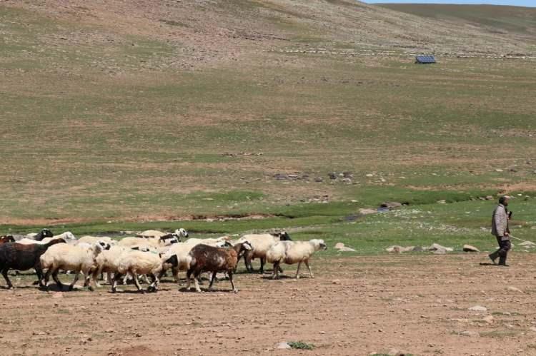 <p>Bu ayrıntı, girişimin sıradan bir ziyaret olmadığını, devlet kurumlarının bilgisi ve onayı &ccedil;er&ccedil;evesinde y&uuml;r&uuml;t&uuml;len resmi bir &ccedil;alışma olduğunu belgeliyor. Aradan ge&ccedil;en yıllara rağmen Hariciye Vekaleti dosyalarında muhafaza edilen bu yazışma, bug&uuml;n Erzurum'un ge&ccedil;mişteki ekonomik potansiyeline ışık tutmaya devam ediyor.</p>

<p>&nbsp;</p>

<p>T&uuml;rkiye Dil ve Edebiyat Derneği Erzurum Şubesi Y&ouml;netim Kurulu &Uuml;yesi Taner &Ouml;zdemir</p>
